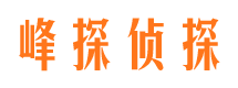 武昌市侦探调查公司